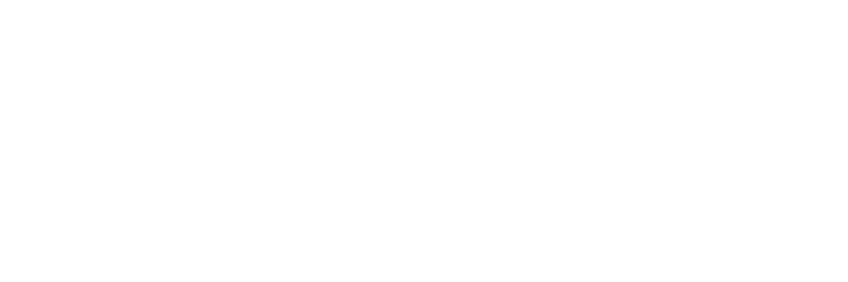 Logo 9